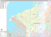 Federal Way Wall Map Premium Style